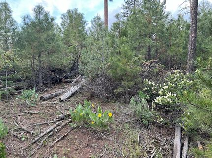 Property in Modoc County, California