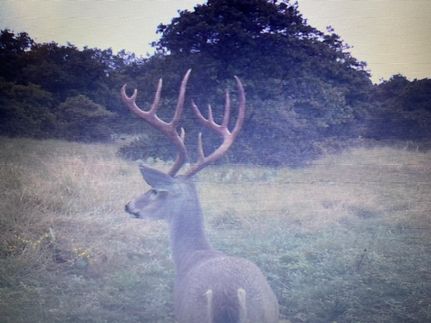 Property for sale in Mills County, Texas