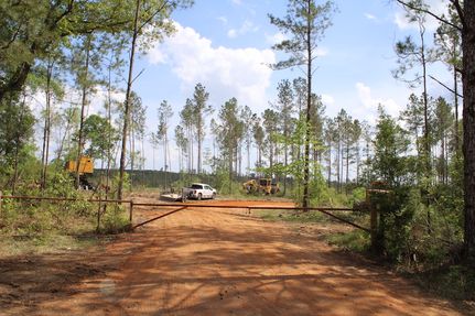 Property in Jefferson Davis County, Mississippi