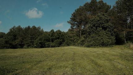 Property for sale in Madison County, Tennessee