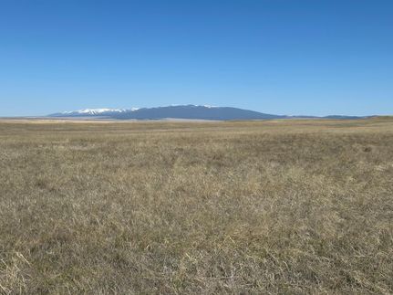 Undeveloped Land for sale in Golden Valley County, Montana