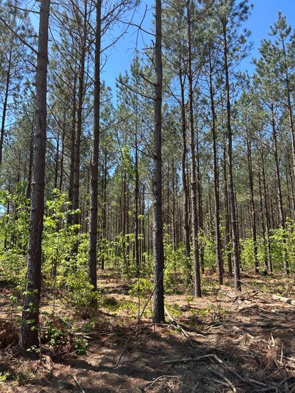 Property for sale in Marlboro County, South Carolina