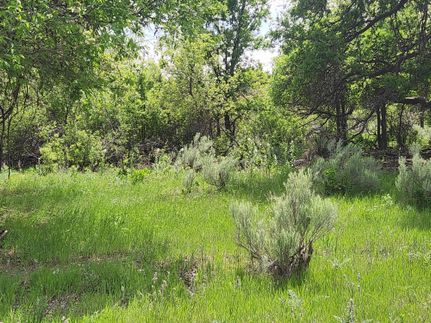 Property for sale in Donley County, Texas