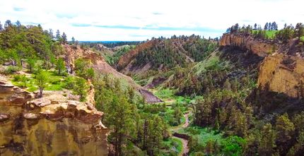 Timberland Property for sale in Phillips County, Montana