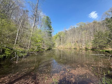 Timberland Property for sale in Magoffin County, Kentucky
