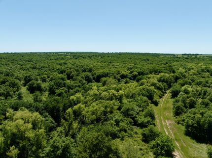 Property in Clay County, Texas