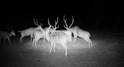 Property for sale in Edwards County, Texas