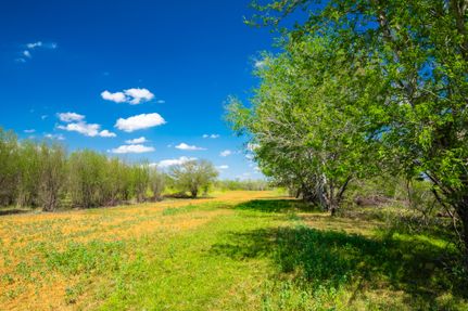 Property for sale in Atascosa County, Texas