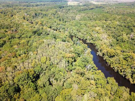 Riverfront Property for sale in Hampton County, South Carolina
