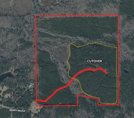 Property for sale in Attala County, Mississippi