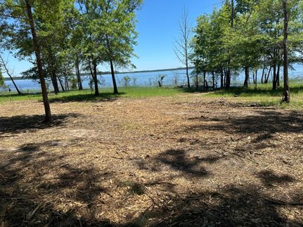 Lakefront Property for sale in San Augustine County, Texas