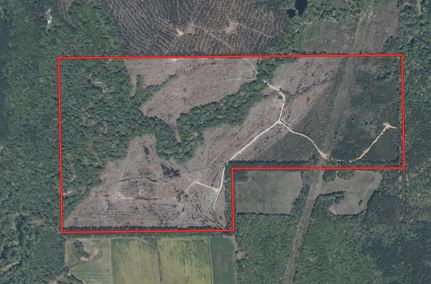 Timberland Property for sale in Lauderdale County, Mississippi