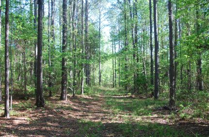 Property for sale in Bullock County, Alabama