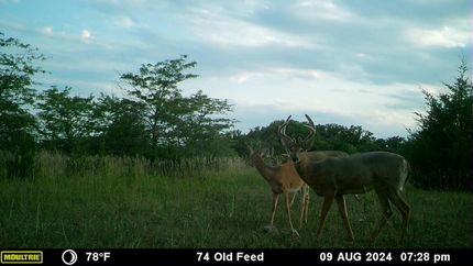 Property in Jefferson County, Nebraska