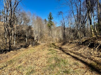 Undeveloped Land for sale in Johnson County, Tennessee