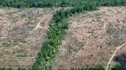 Undeveloped Land for sale in Jackson Parish, Louisiana