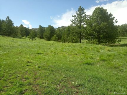 Property for sale in Park County, Colorado