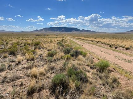 Undeveloped Land for sale in Costilla County, Colorado