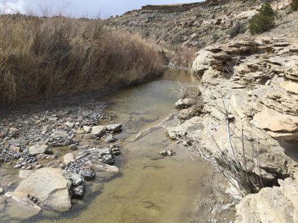 Property for sale in San Miguel County, Colorado