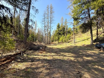 Lakefront Property for sale in Okanogan County, Washington