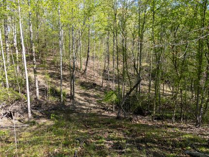 Undeveloped Land for sale in Henderson County, Tennessee