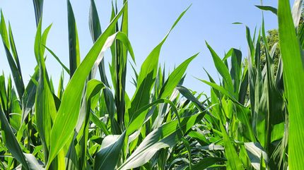 Farm Property for sale in Polk County, Iowa