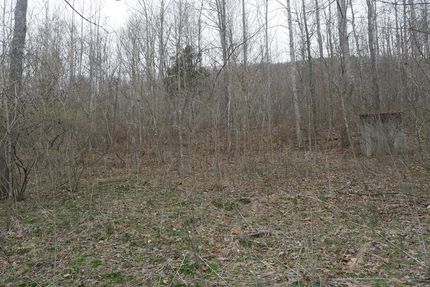 Hunting Land for sale in Washington County, Virginia