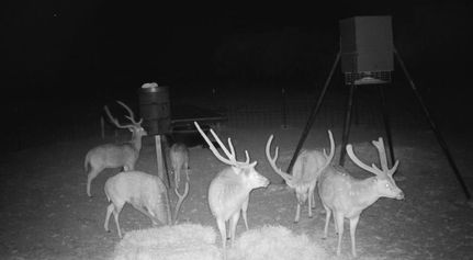 Property for sale in Edwards County, Texas