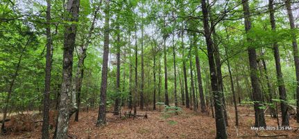 Property for sale in Red River County, Texas