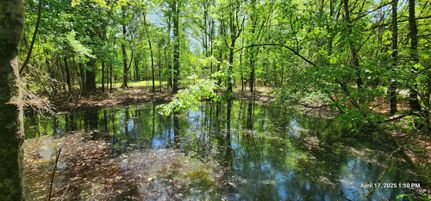 Property for sale in Red River County, Texas