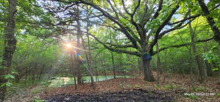 Property for sale in Red River County, Texas