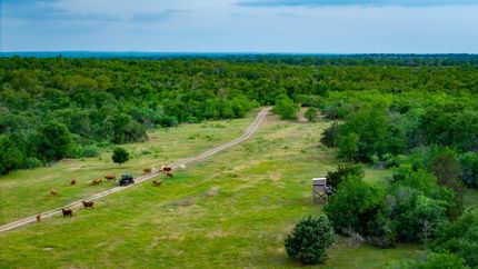 Undeveloped Land for sale in Bastrop County, Texas
