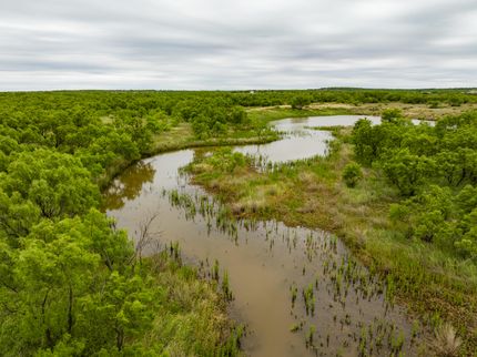 Farm Property for sale in Runnels County, Texas