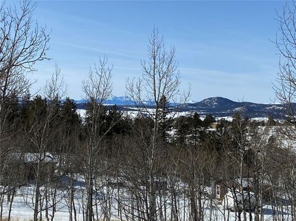 Property for sale in Park County, Colorado