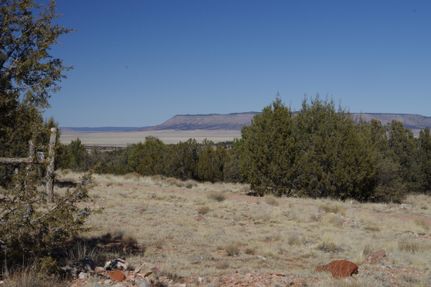 Undeveloped Land for sale in Yavapai County, Arizona