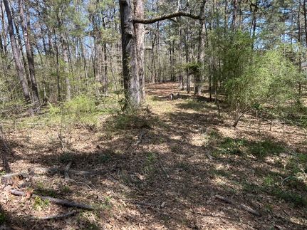 Property in LaSalle Parish, Louisiana