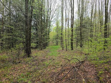 Property in Broome County, New York