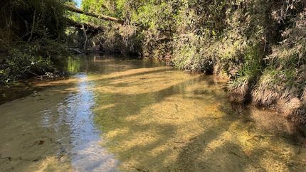 Residential Property for sale in Baldwin County, Alabama