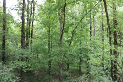 Property for sale in Tate County, Mississippi