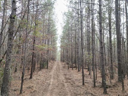 Residential Property for sale in Coosa County, Alabama