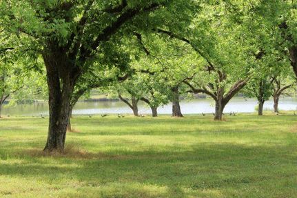 Property for sale in Russell County, Alabama