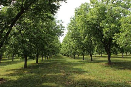 Property for sale in Russell County, Alabama