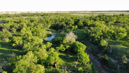Hunting Land for sale in Runnels County, Texas