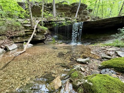 Property for sale in McDonald County, Missouri