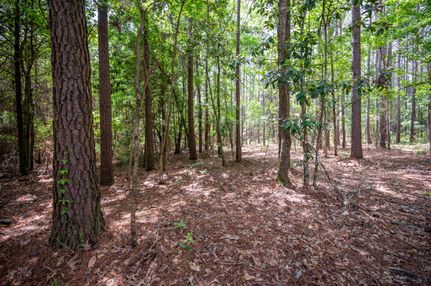 Recreational Property for sale in Tyler County, Texas