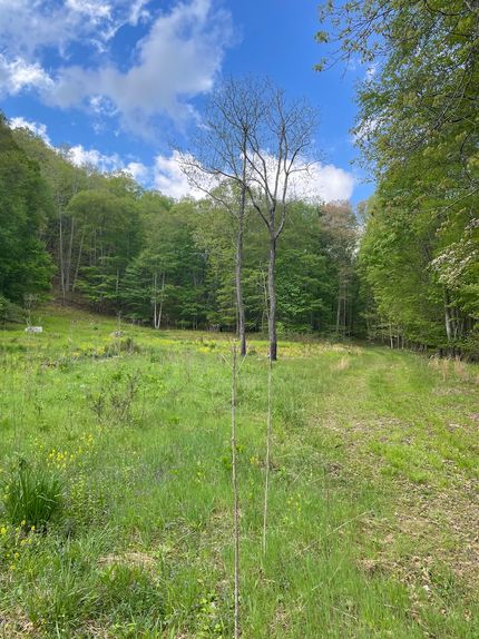 Property in Pendleton County, West Virginia