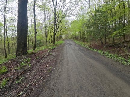 Property in Otsego County, New York