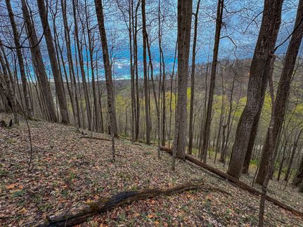 Property for sale in Wirt County, West Virginia