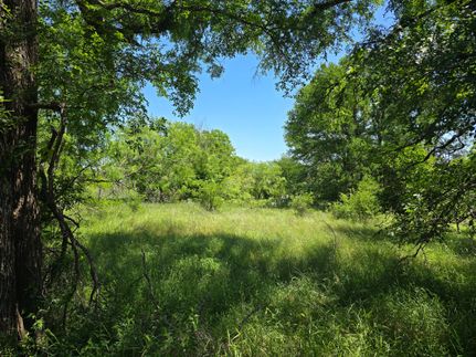 Hunting Land for sale in Comanche County, Texas