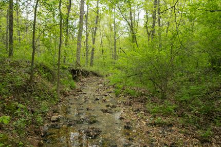 Timberland Property for sale in Camden County, Missouri